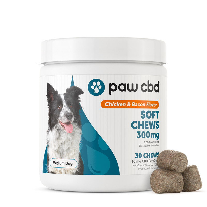 PAW CBD Dog Soft Chews